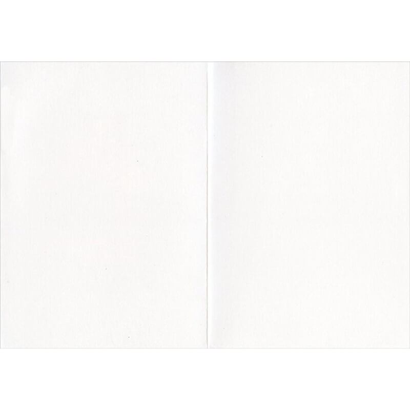 Avanti America Collection Blank Card- Boy & Girl Saluting Flag