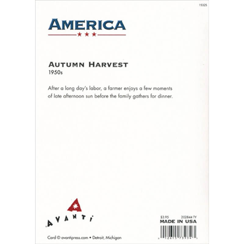 Avanti America Thank You Card - Rocking Chair Porch