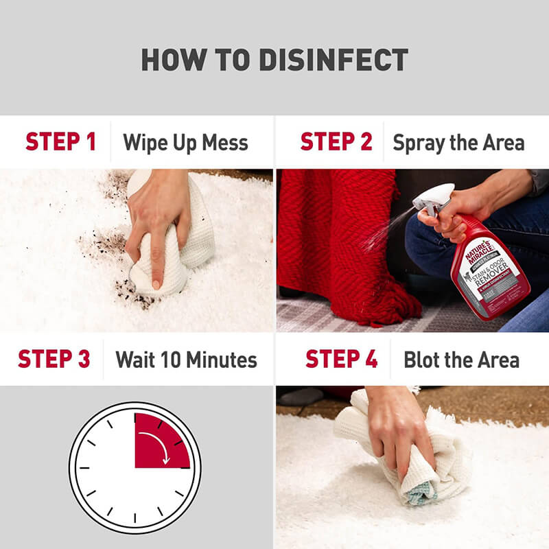 Nature's Miracle Advanced Stain and Odor Virus Disinfectant Spray