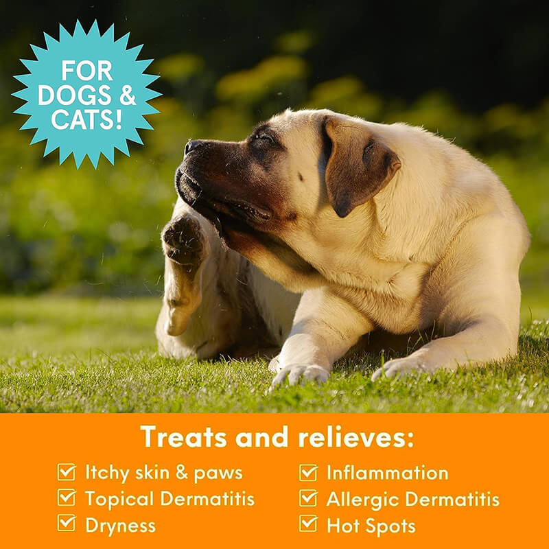 Nootie Anti-Itch Medicated Spray
