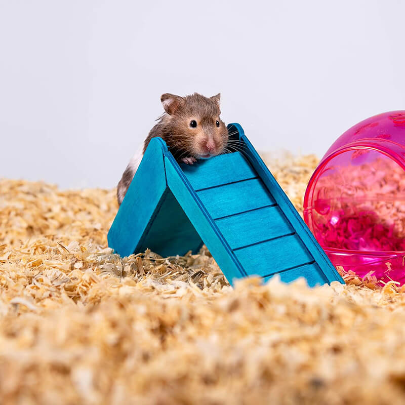 Pets Pick Kiln-Dried Soft Pine Bedding