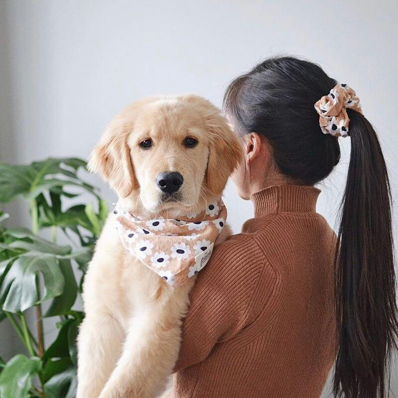 The Paws Fun Scrunchies - Blossom
