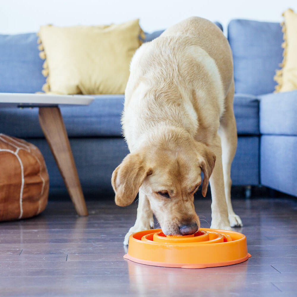Outward Hound Fun Feeder Orange Large/Regular