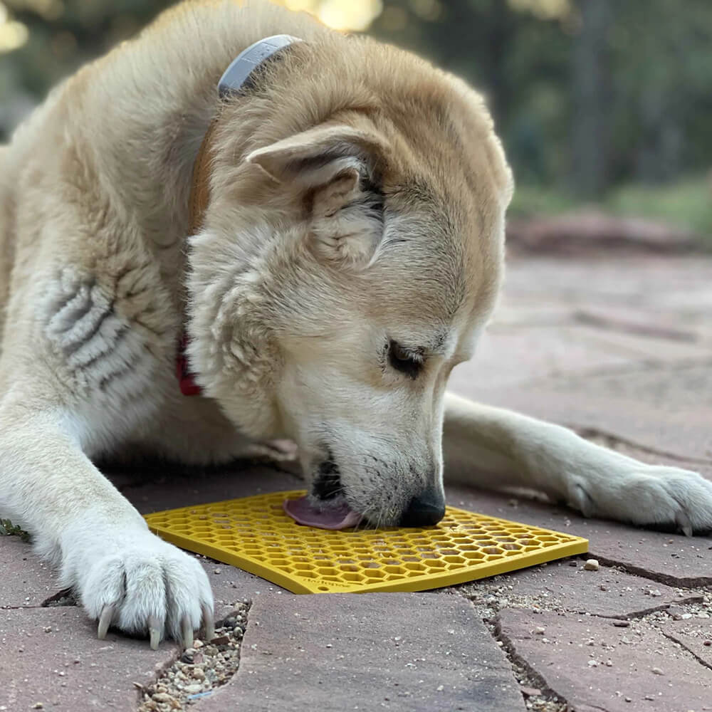 Sodapup Lick Mat Honeycomb