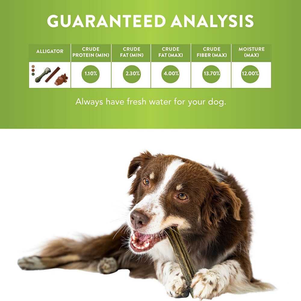 Whimzee Dental Chews Value Pack