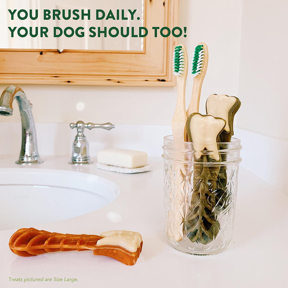 Whimzee Dental Chews Value Pack