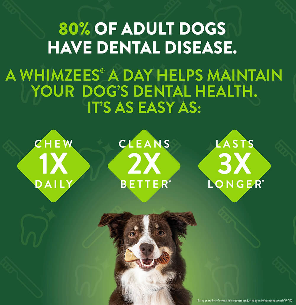 Whimzee Dental Chews Value Pack