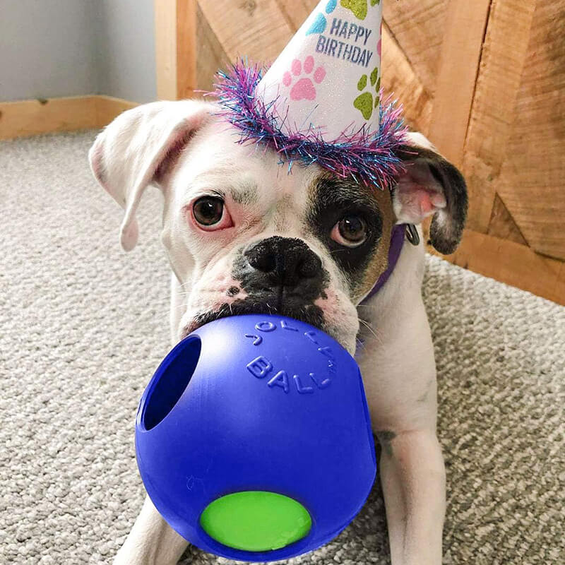 Jolly Ball Teaser Ball Jolly Pets Teaser Ball