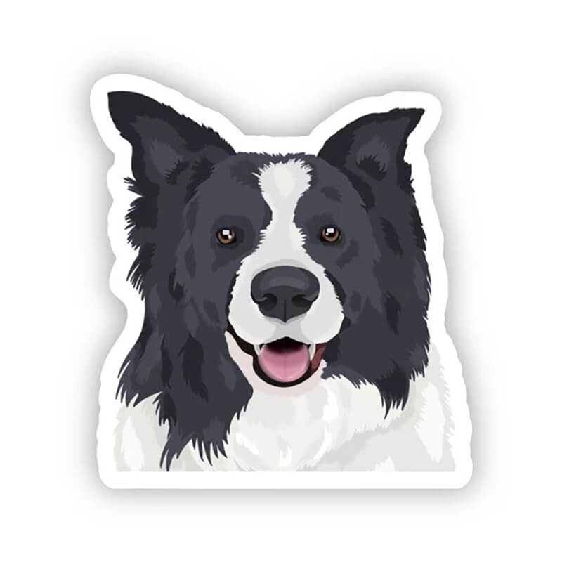 Happy Sploot Designs Vinyl Sticker - Border Collie