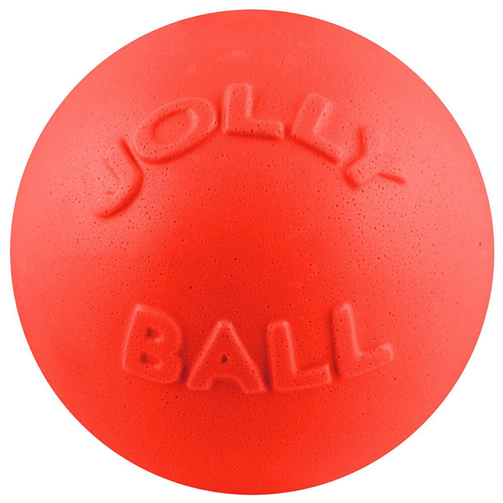 Jolly Pets Bounce-N-Play Ball