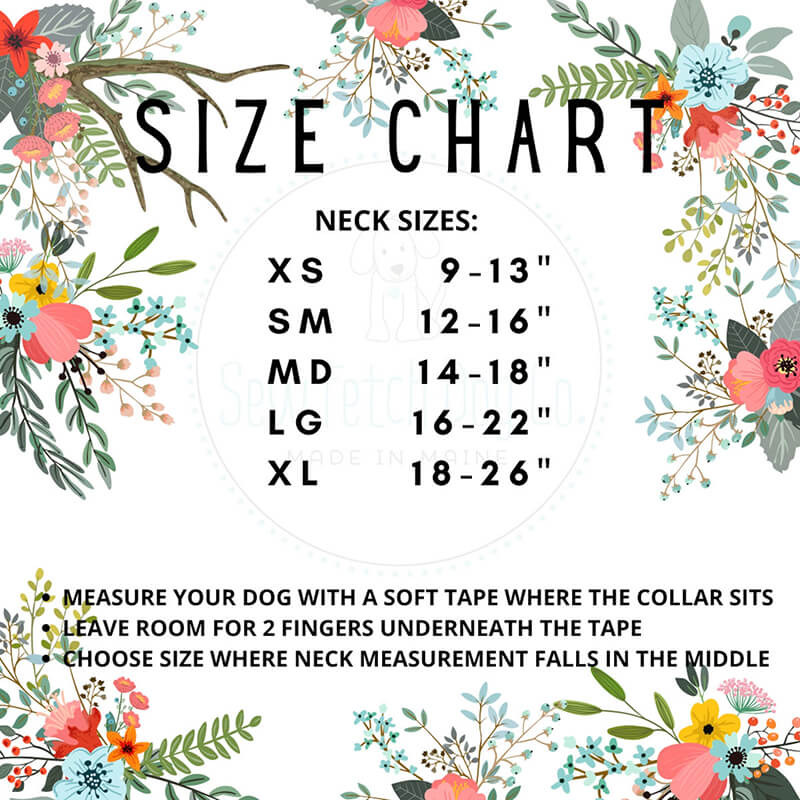 Sew Fetch Collar Fruit Salad Watercolor