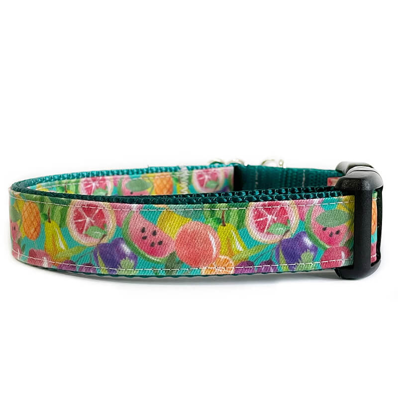 Sew Fetch Collar Fruit Salad Watercolor
