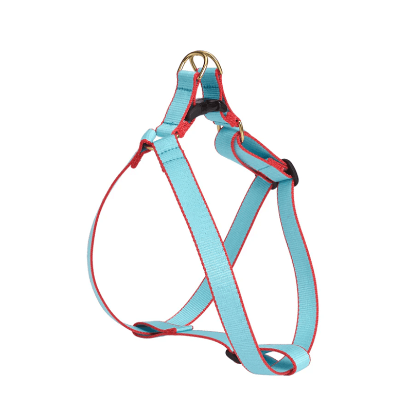 Up Country Color Market Harness