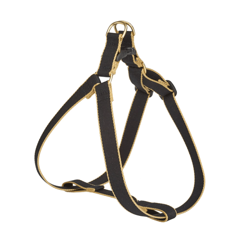Up Country Color Market Harness