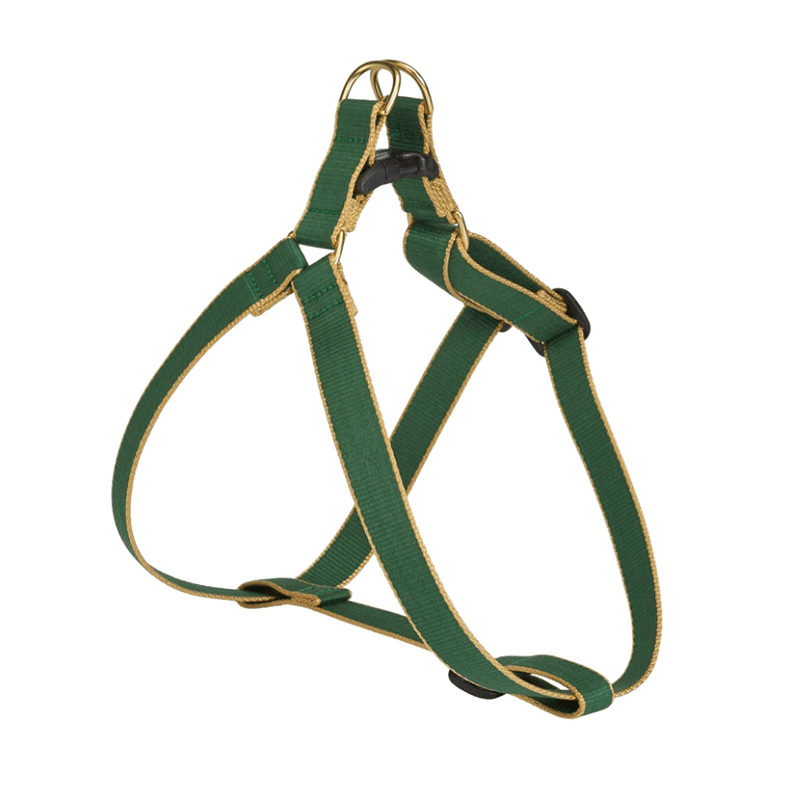 Up Country Color Market Harness