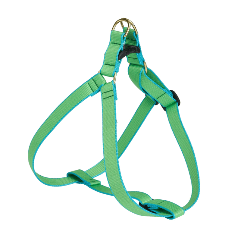 Up Country Color Market Harness