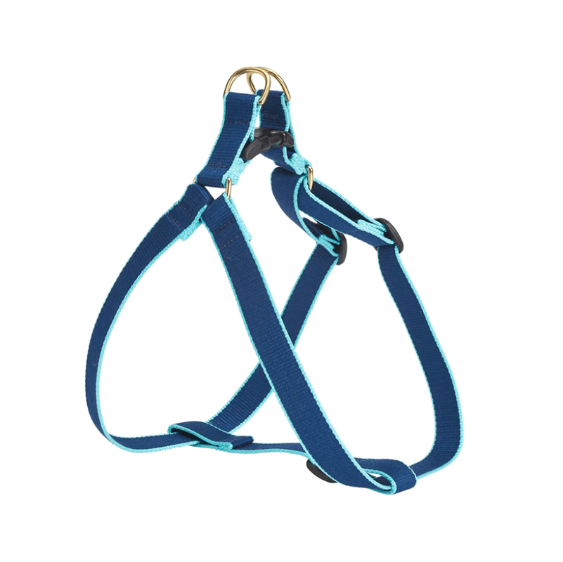 Up Country Color Market Harness