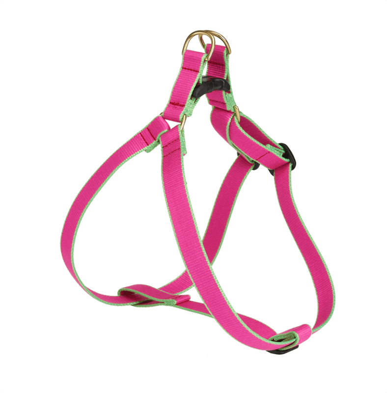 Up Country Color Market Harness