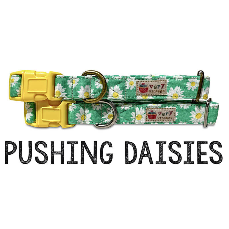 Very Vintage Organic Cotton Collar Pushing Daisies