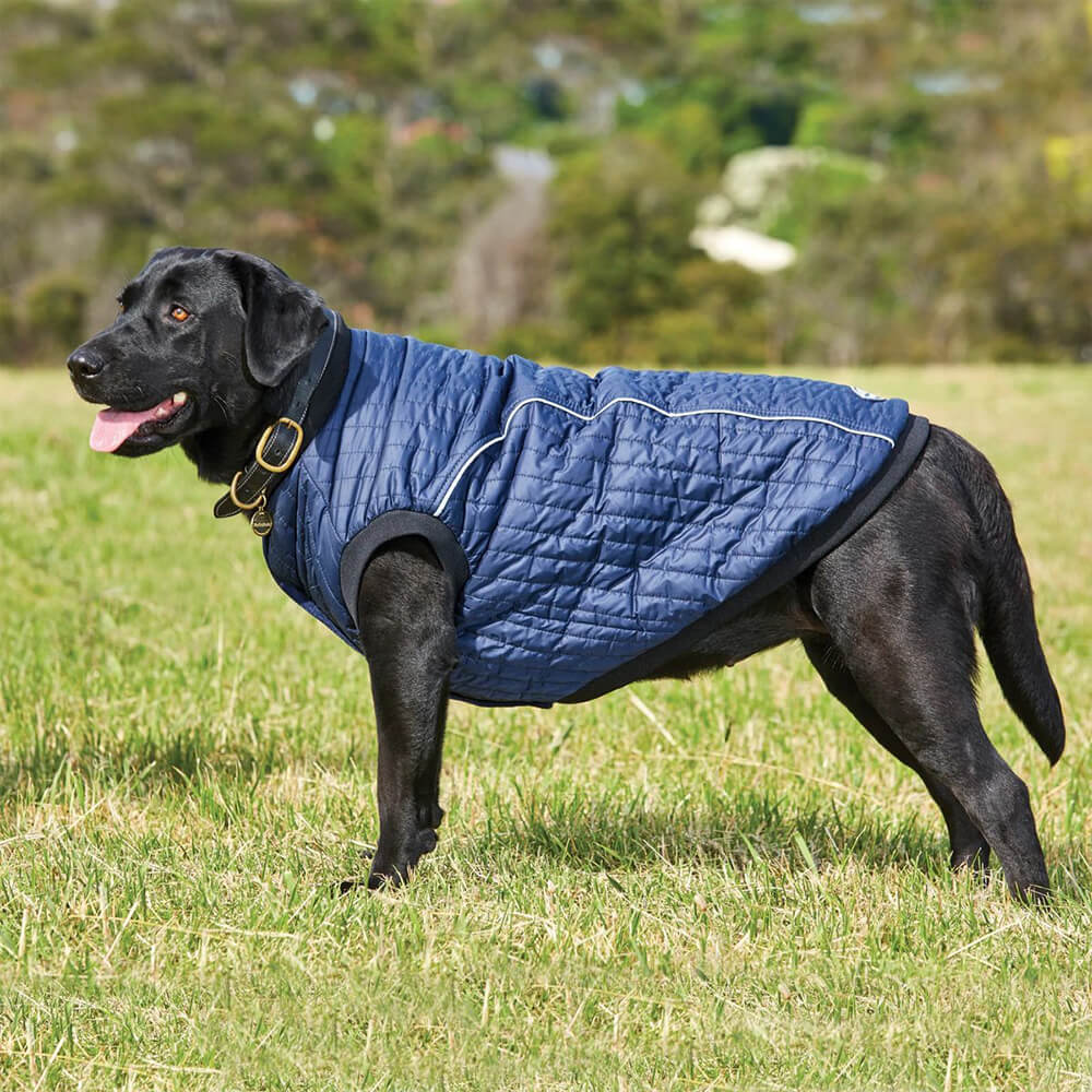 Weatherbeeta Puffer Dog Coat - Main Image